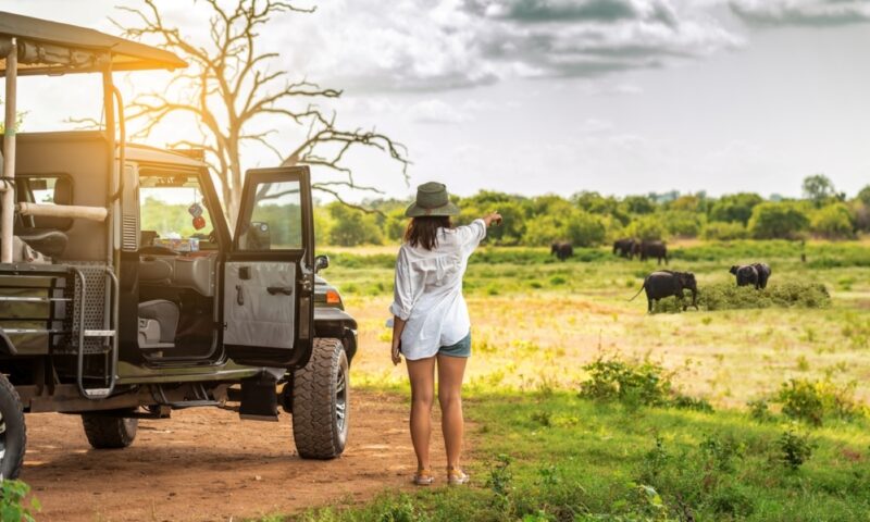 Safari în Kenya: 5 cele mai bune parcuri naționale și rezervații