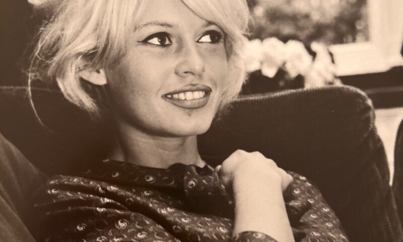 Președintele Macron nu e dorit la înmormântarea lui Brigitte Bardot. Rudele au decis altceva