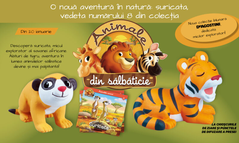 O nouă aventură în natură: suricata, vedeta numărului 8 din colecția „Animale din sălbăticie”