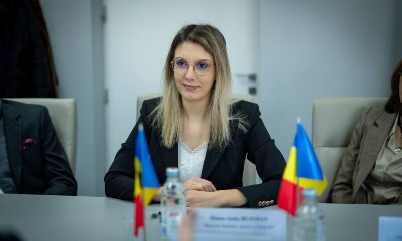 „Pilele” din Ministerul Mediului. Cum ar ajunge apropiați de partid și activiști politici în funcții-cheie la stat