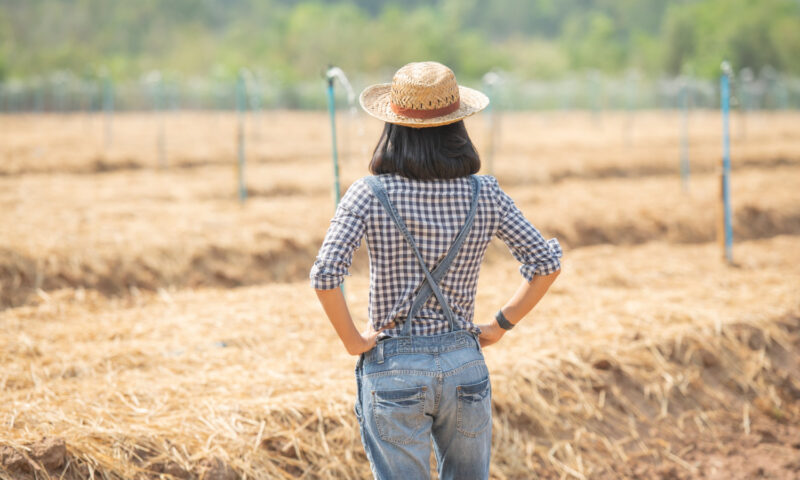 Președintele Sindalimenta, despre votul României privind acordul UE-Mercosur: Întreaga clasă politică este vinovată