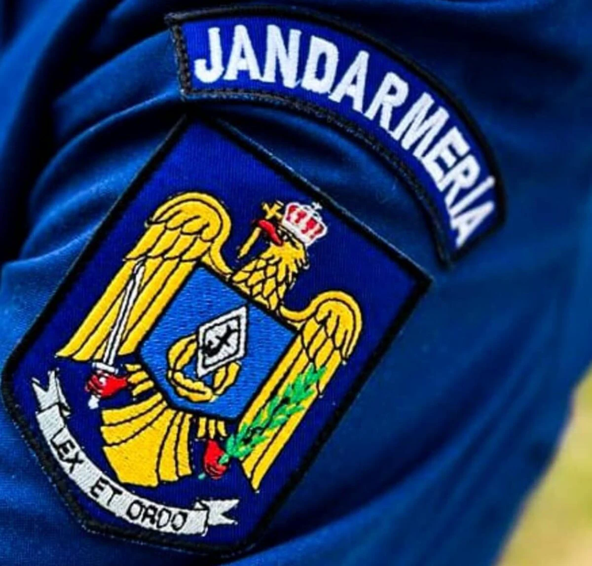 Proces verbal, falsificat cu ajutorul inteligenței artificiale. Jandarmeria dezminte un document viral