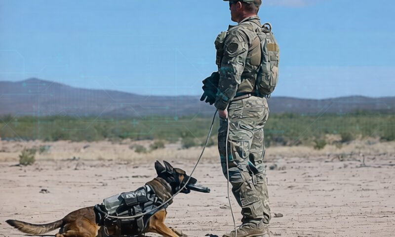 Tensiuni tot mai mari în Minneapolis. Un câine al autorităților, implicat într-un incident anti-ICE