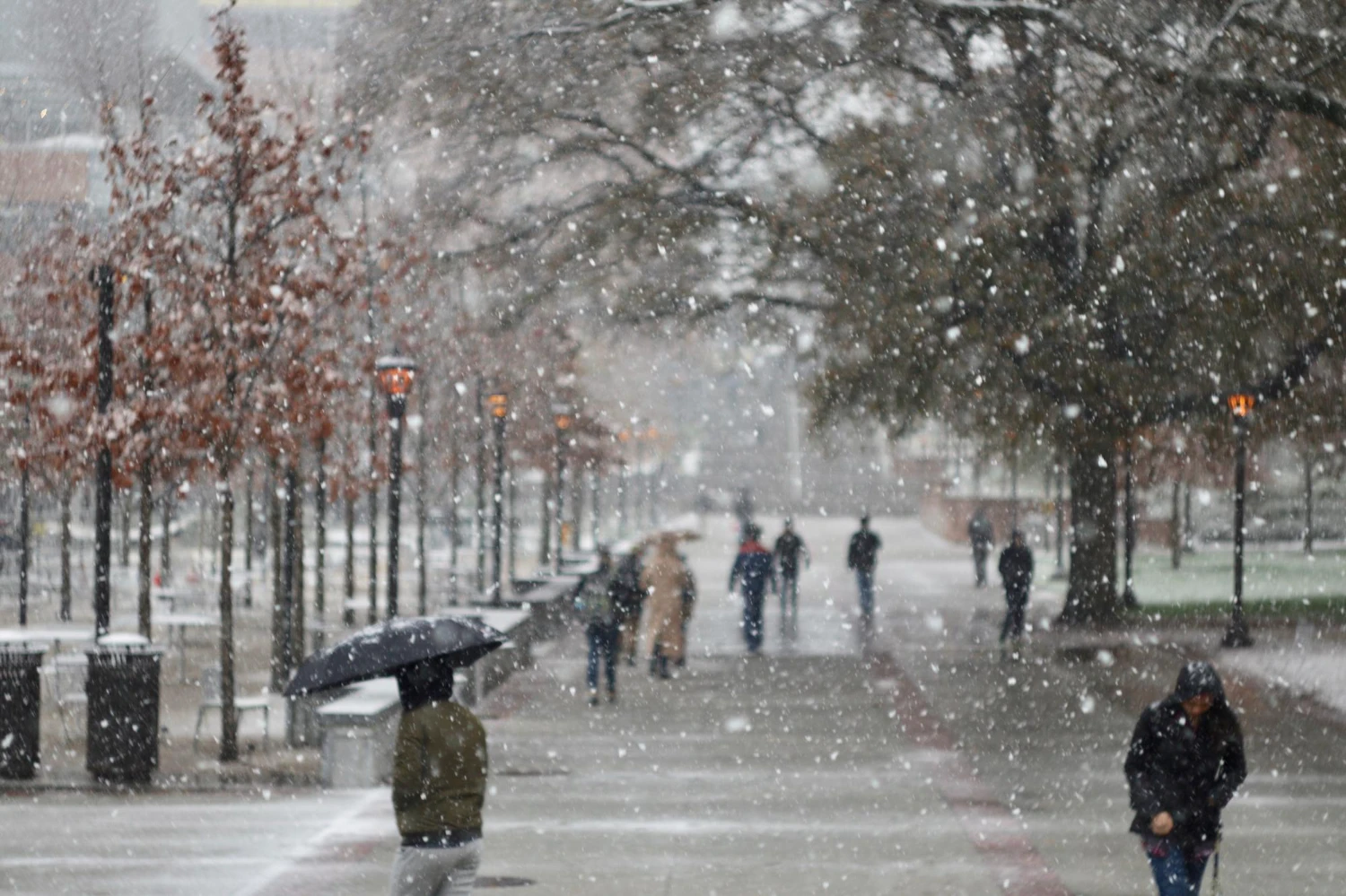 Ninsori viscolite, lapoviță și ploi peste România. Prognoza meteo actualizată