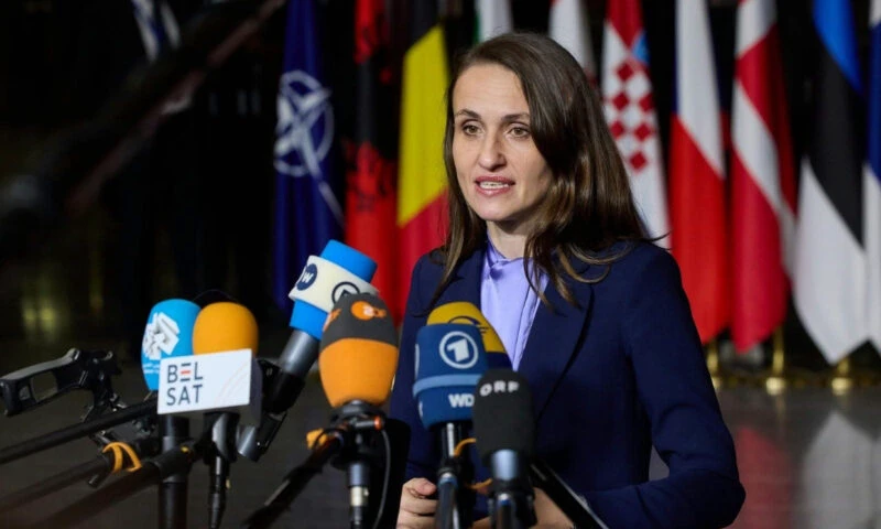 Ministrul de Externe, Oana Țoiu, discuții la Vilnius, despre marile probleme de securitate