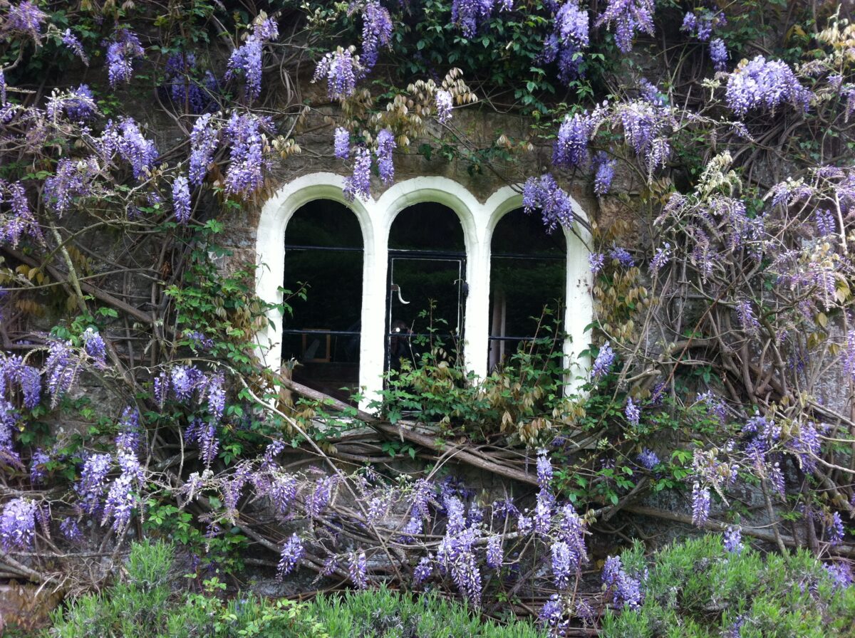 Satul cu 12 fantome. Locul unde trecutul refuză să rămână îngropat