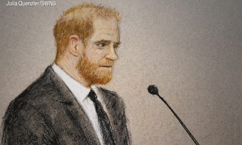 Ducele de Sussex, depășit de situație. Declarații confuze și nervi în sala de judecată