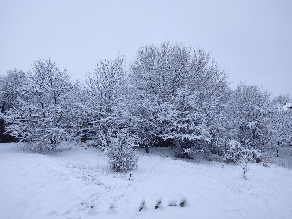 Horoscopul lui Dom’ Profesor,  5 ianuarie 2026. Criză de tip Seldon