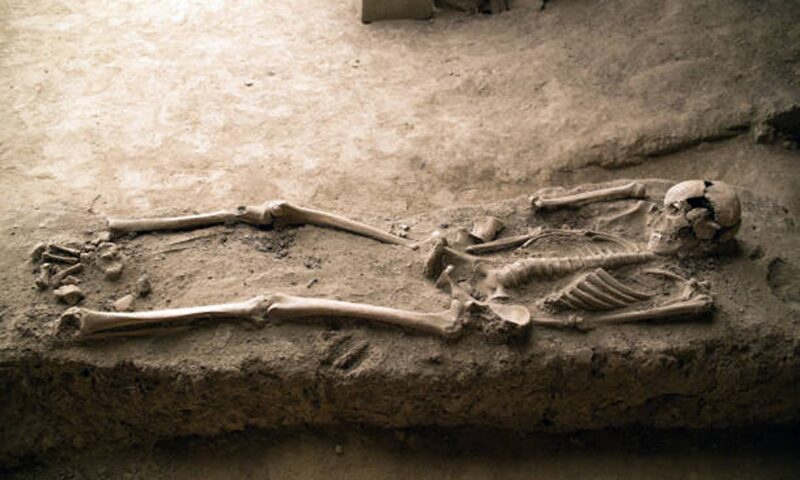 O boală infecțioasă, descoperită în rămășițe umane vechi de 5.500 de ani