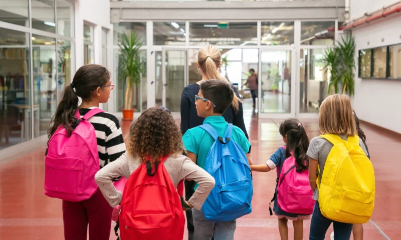 Școli din România se închid din cauza vremii extreme. În ce orașe se vor ține cursurile online