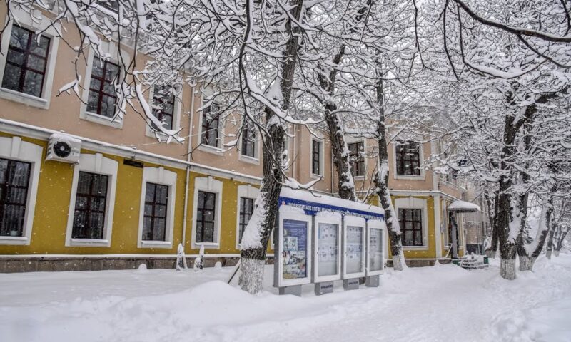 Raport oficial. Diplomele de rezidențiat pentru medicii din România, eliberate de Universitatea de Medicină din Chișinău, sunt valide