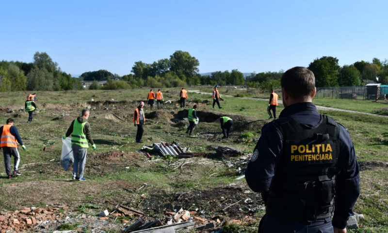 Cât costă să angajezi un deținut pentru munca în gospodărie. Masa și paza, asigurate de penitenciar