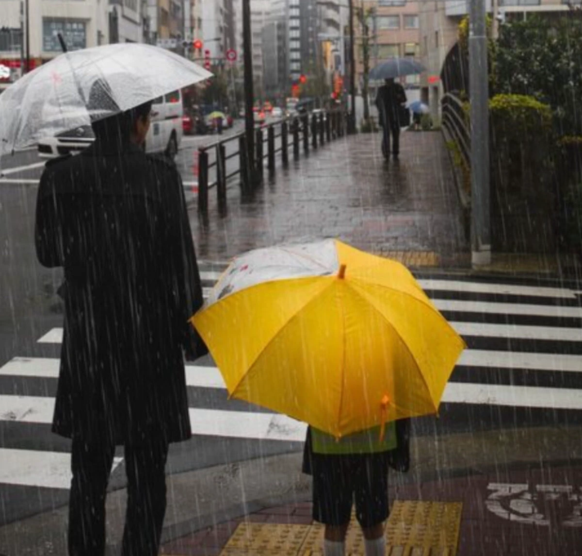 Vreme nebună în ultima lună de iarnă. Primăvara vine cu temperaturi neobișnuit de ridicate