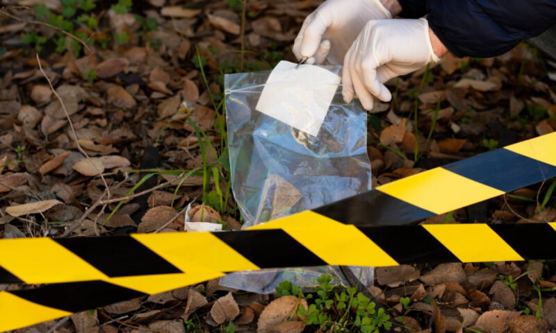 Român acuzat că și-a ucis mama în Franța, prins la Cluj. Victima era medic cardiolog