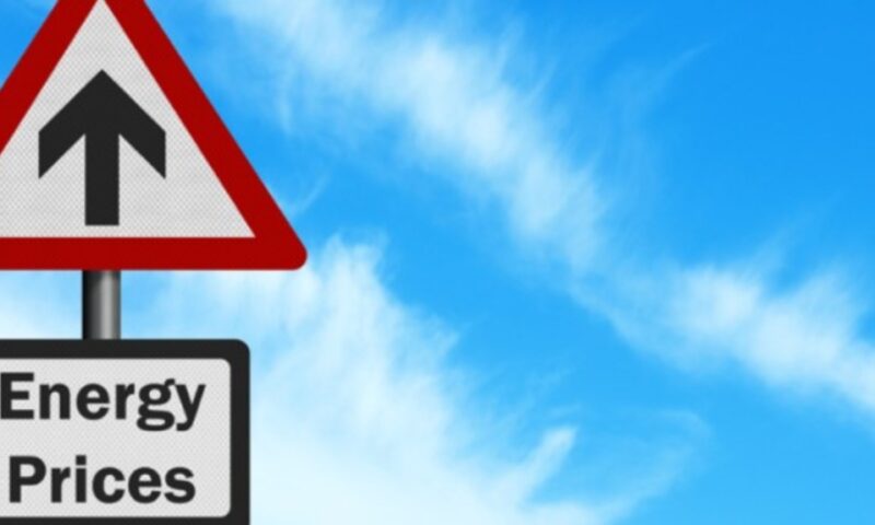 Exclusiv. Dan Nica, europarlamentar: S-a apelat la exporturi care vin din zone unde energia este mai scumpă