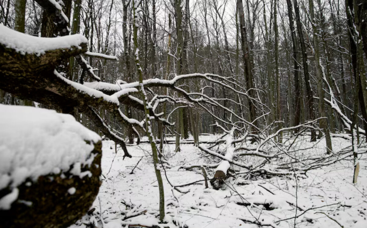 Prognoza meteo, 13 ianuarie. Iarna continuă cu temperaturi extreme. Cod galben de ger și polei în anumite regiuni ale țării