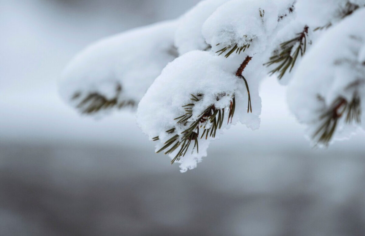 Prognoza meteo, 15 ianuarie. Temperaturi mai blânde față de intervalul precedent. Ninsori și polei în unele județe