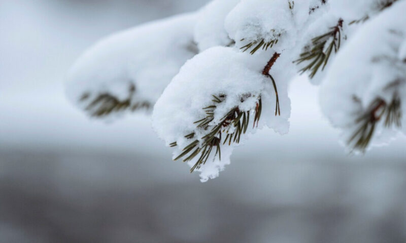 Prognoza meteo, 15 ianuarie. Temperaturi mai blânde față de intervalul precedent. Ninsori și polei în unele județe