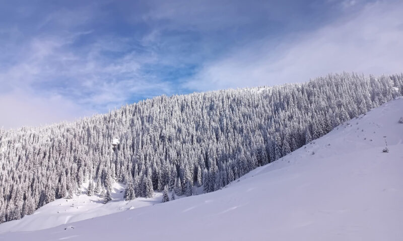 Pericol în zona montană a județului Suceava. Zăpadă de doi metri pe mai multe trasee și risc crescut de avalanșă