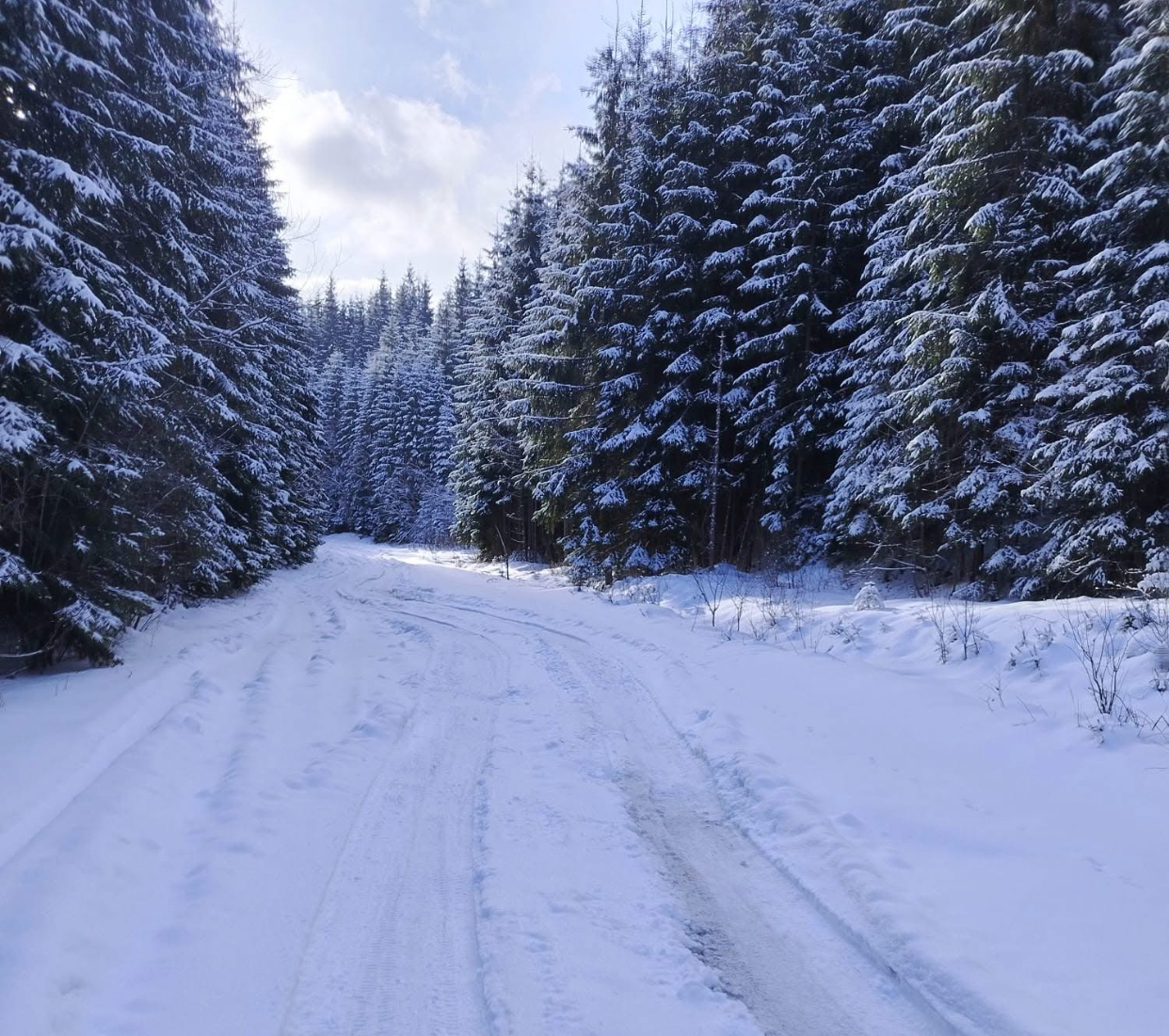 zona montana Suceava