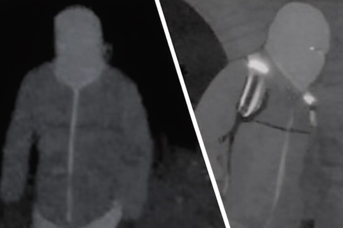 Noi detalii privind imaginile surprinse de camera de la domiciliul lui Nancy Guthrie