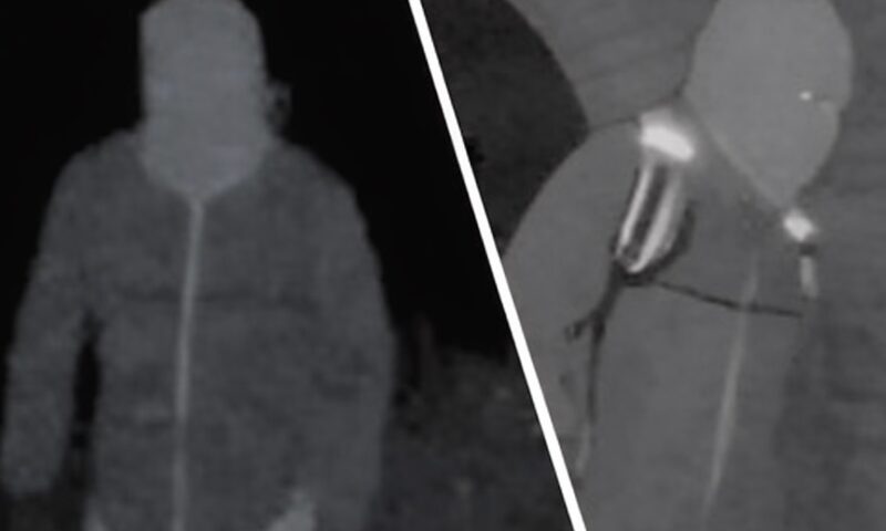 Noi detalii privind imaginile surprinse de camera de la domiciliul lui Nancy Guthrie