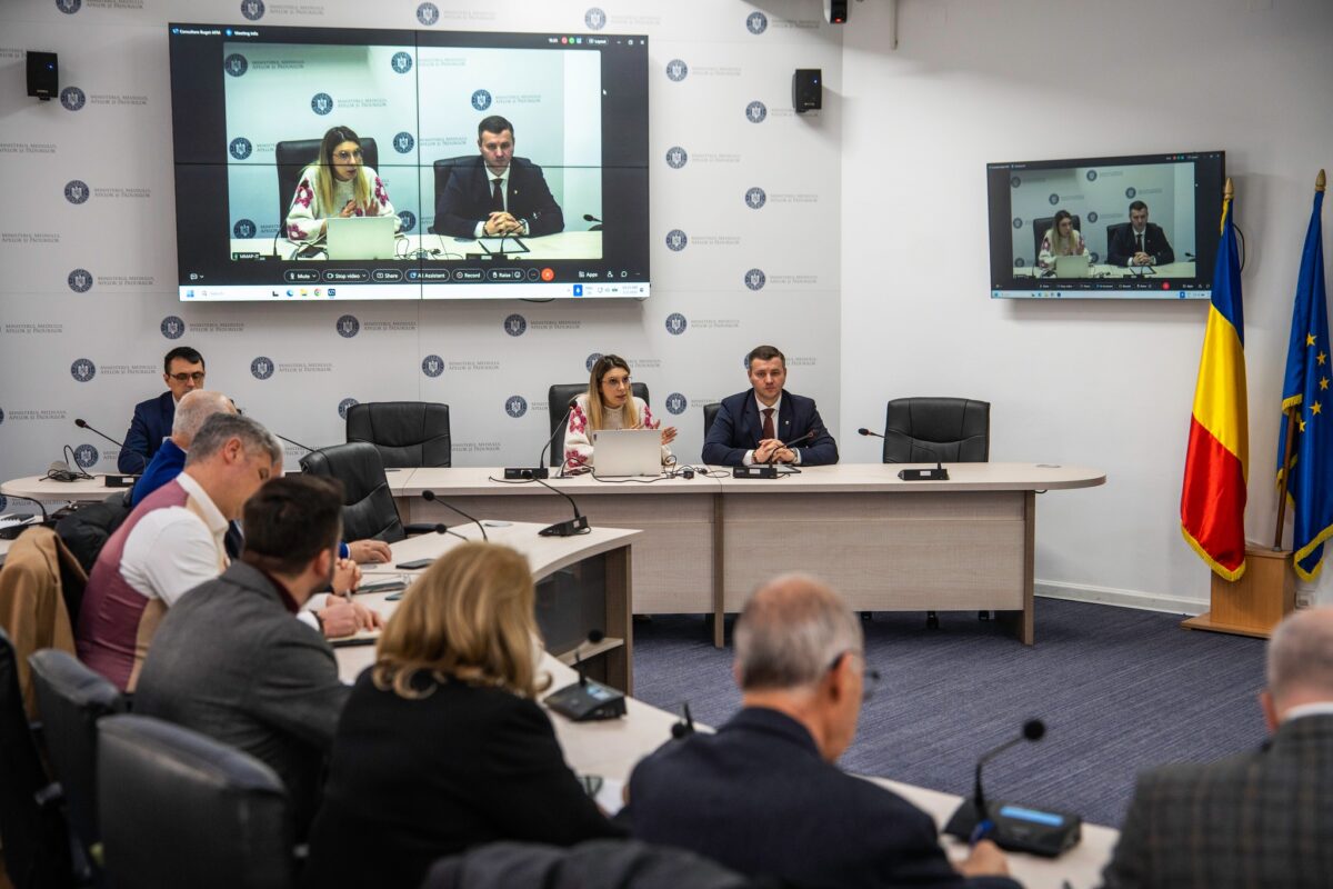 Diana Buzoianu, discuții cu asociațiile reprezentative ale autorităților publice locale