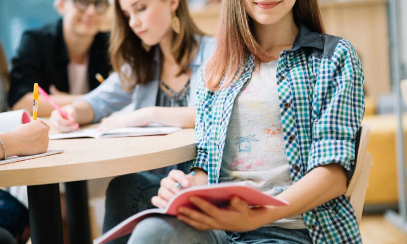 Oana Țoiu a anunțat cursuri de limba română pentru copii în școlile din Germania