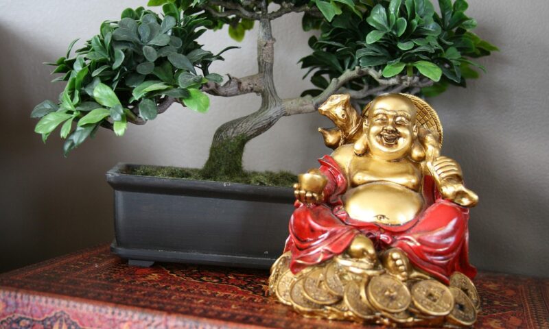 Cum să-ți aranjezi casa ca să atragi bani în 2026. Locul prin care energia intră în interior