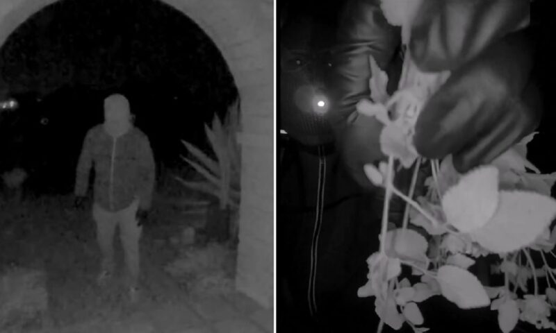 Suspectul reținut în cazul Nancy Guthrie, după ce FBI a publicat imagini, a fost eliberat