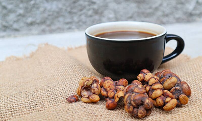 Cea mai scumpă cafea din lume. Secretul gustului unic