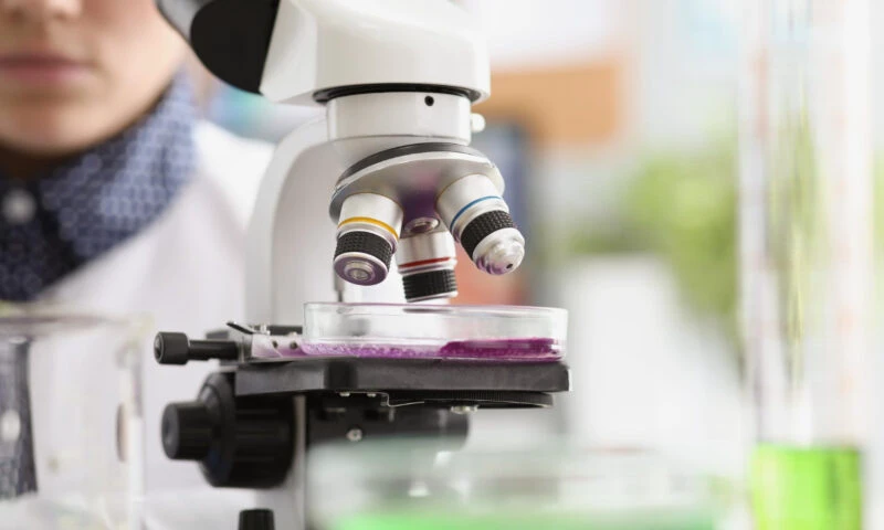 Cercetătorii americani au identificat anticorpi care pot bloca infectarea cu virusul Epstein-Barr