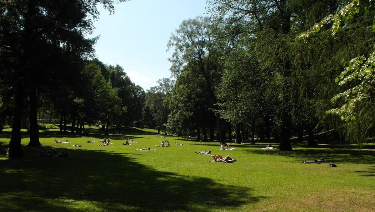 Parcul Palatului Regal