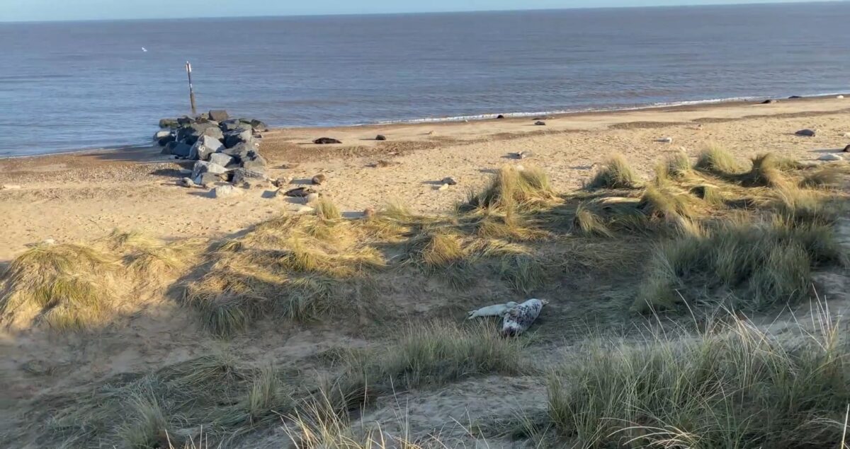 Plaja unui mic sat din Europa atrage tot mai mulți turiști. A întrecut Rhodos și Ibiza