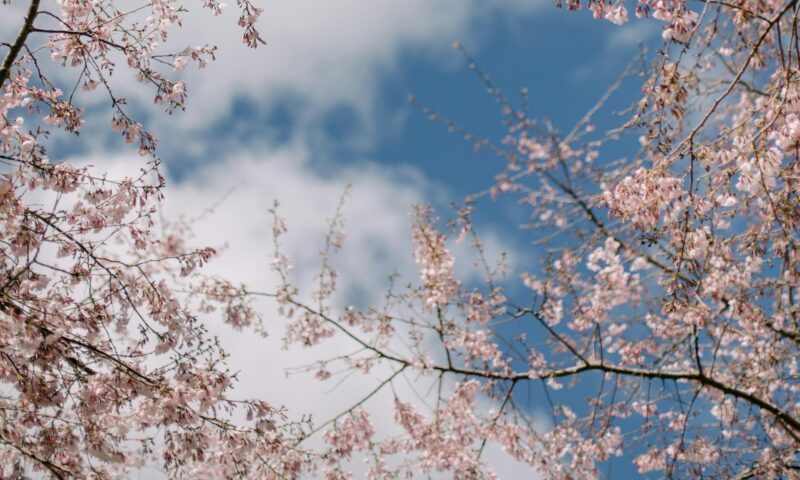 Prognoză specială emisă de ANM pentru București. Ce se întâmplă cu temperatura în următoare 72 de ore