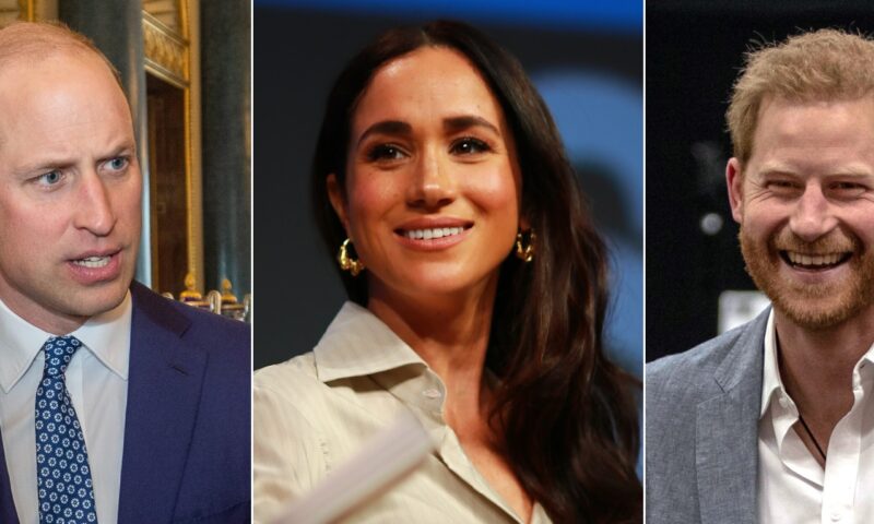 Prințul William respinge proiectul comercial al Sussexilor despre Prințesa Diana