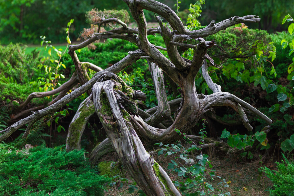 Weekend periculos pentru trei zodii. Eclipsele lovesc din nou