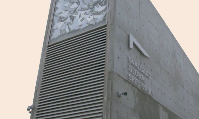 Seiful Apocalipsei, ultima salvare a oamenirii. Caracteristicile locului care are un singur scop