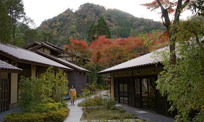 Hanurile tradiționale din Japonia, folosite ca spații de cazare. Camerele, amenajate în stilul japonez din secolul al XVII-lea