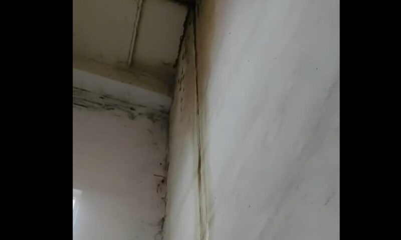 Infiltrațiile din sediul IPJ Botoșani, distribuite de Sindicatul Europol. Cum se scuză instituția