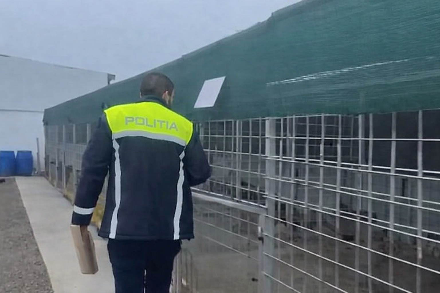 Suraia, adapost de animale