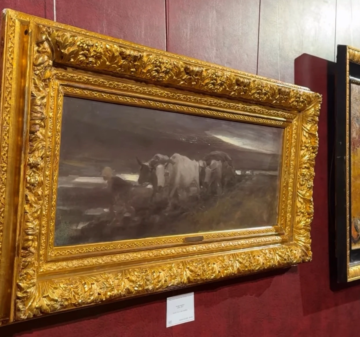 Tablou colecție Darius Vâlcov