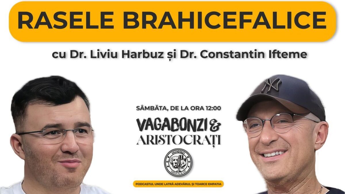 Brahicefalicii: Între aspectul „adorabil” și lupta pentru oxigen. Dialog între Dr. Liviu Harbuz și Dr. Constantin Ifteme