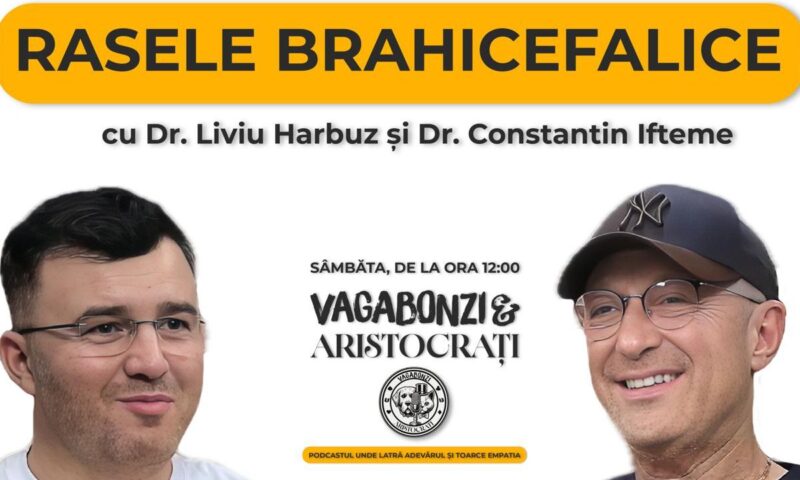 Brahicefalicii: Între aspectul „adorabil” și lupta pentru oxigen. Dialog între Dr. Liviu Harbuz și Dr. Constantin Ifteme