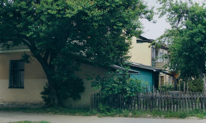 Greșeala care îi costă scump pe proprietarii de case. Ce spune legea despre pomii vecinului