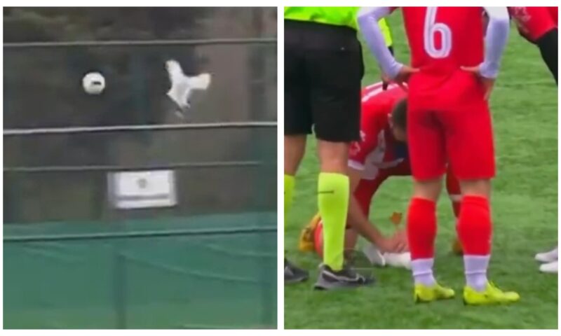 Un fotbalist a resuscitat în timpul partidei un pescăruș lovit de minge: A fost mai important decât promovarea