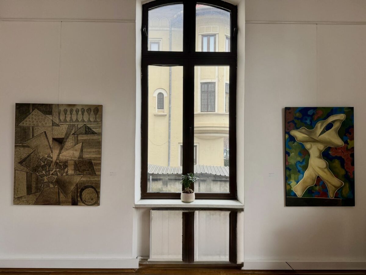 Galeria Romană, expoziție, Ecaterina Vertis