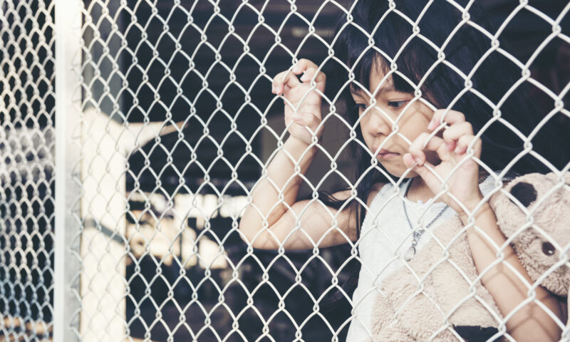 State care nu sunt democrații în practică. Tipuri de regimuri și exemple contemporane