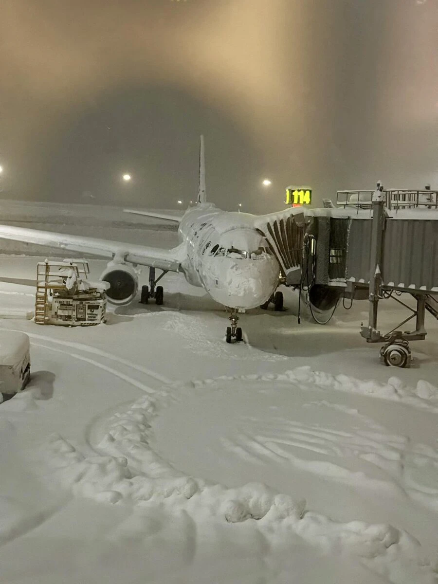 Cod Roșu de viscol în București. Haos pe Otopeni, zboruri deviate și zeci de mașini distruse de copaci. Prefectul recunoaște: „Planurile de deszăpezire sunt foarte vechi”