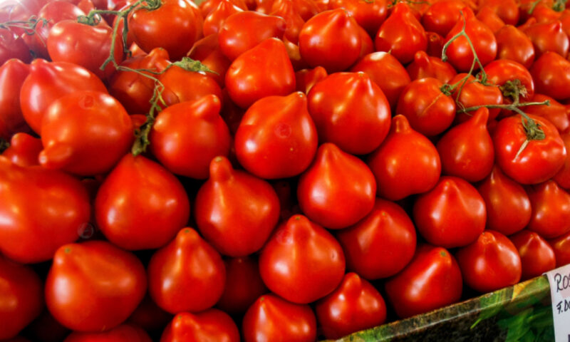 Primele roșii românești din 2026, vândute la prețuri record. Cât vor plăti românii pentru un kilogram de tomate